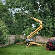 Best Tree Risk Assessment  in Elizabethville, PA